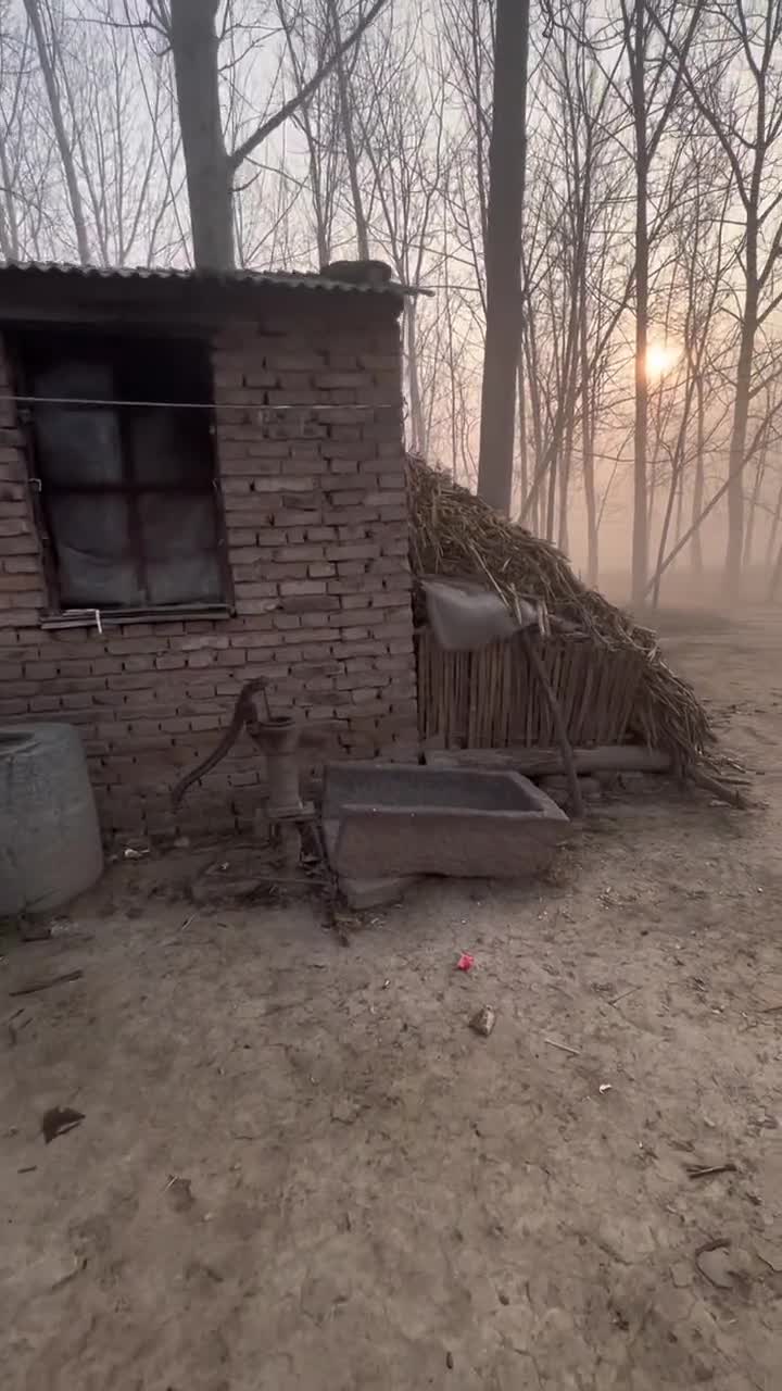 -.mp4