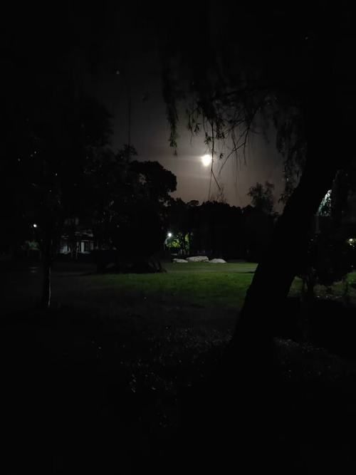 image00a12610b388018f.png