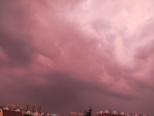 IMG20240811190339.jpg