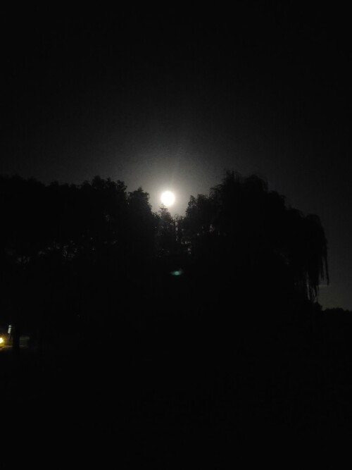 IMG20240917193701.jpg